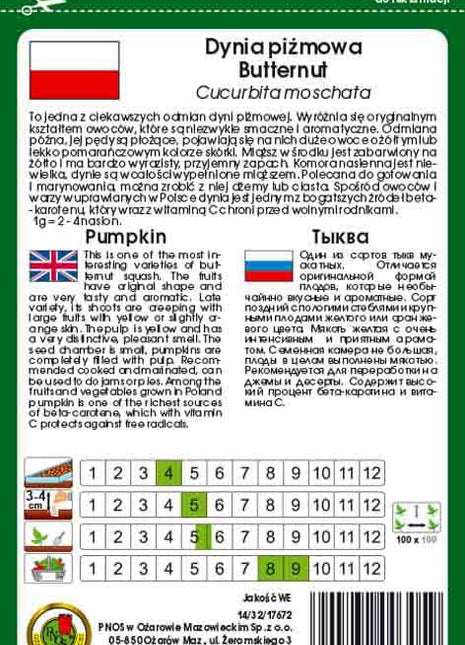 Nasiona - DYNIA PIŻMOWA BUTTERNUT 3g - Niezłe Ziółko