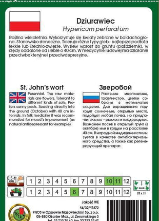 Nasiona - DZIURAWIEC 0,2g - Niezłe Ziółko