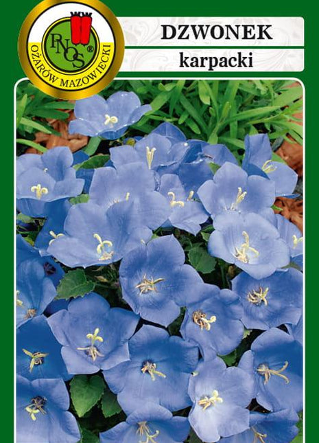 Nasiona - DZWONEK KARPACKI NIEBIESKI 0,5g - Niezłe Ziółko