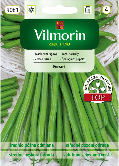 Nasiona - FASOLA SZPARAGOWA ZIELONA FERRARI 30G - Niezłe Ziółko