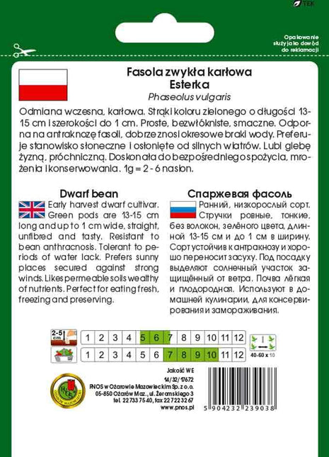 Nasiona - FASOLA SZPARAGOWA ZIELONA KARŁOWA ESTERKA 50g - Niezłe Ziółko