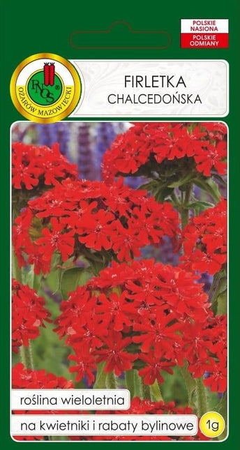 Nasiona - FIRLETKA CHALCEDOŃSKA SZKARŁATNA 1g - Niezłe Ziółko