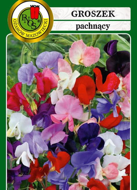 Nasiona - GROSZEK PACHNĄCY MIESZANY 1,5g - Niezłe Ziółko