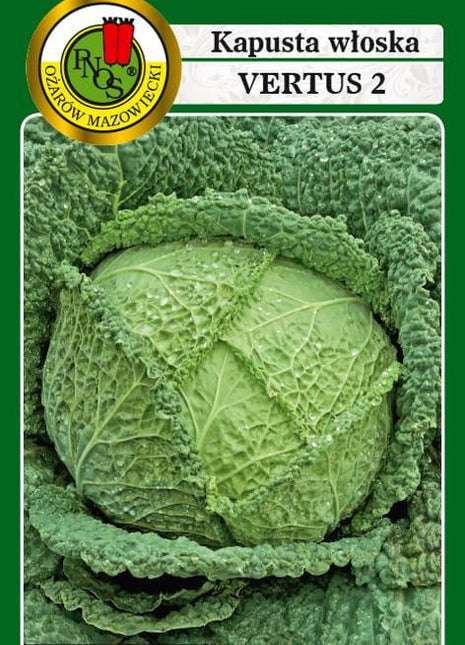 Nasiona - KAPUSTA WŁOSKA VERTUS 2g - Niezłe Ziółko