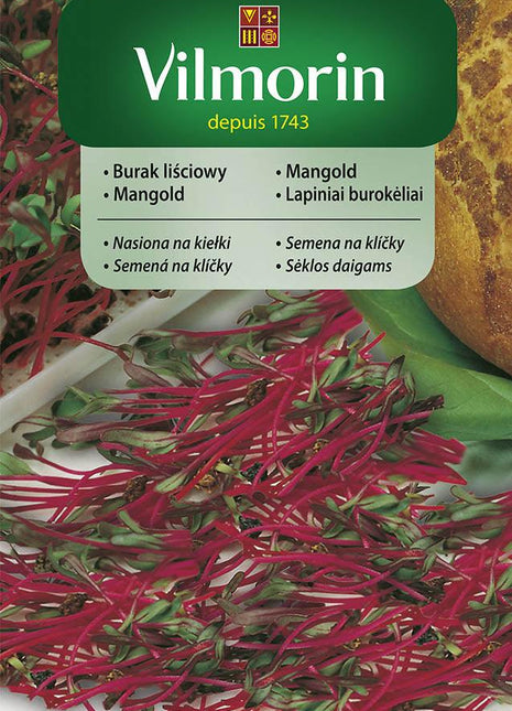 Nasiona - KIEŁKI BURAK LIŚCIOWY 10G - Niezłe Ziółko