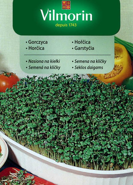 Nasiona - KIEŁKI GORCZYCA 20G - Niezłe Ziółko