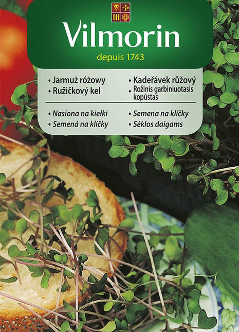 Nasiona - KIEŁKI JARMUŻ RÓŻOWY 10G - Niezłe Ziółko