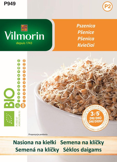 Nasiona - KIEŁKI PSZENICA BIO 40G - Niezłe Ziółko