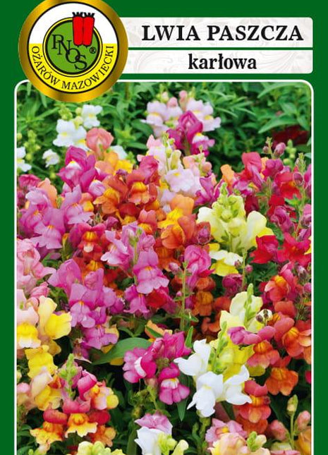 Nasiona - LWIA PASZCZA KARŁOWA MIESZANA 0,5g - Niezłe Ziółko