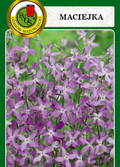 Nasiona - MACIEJKA 3g - Niezłe Ziółko
