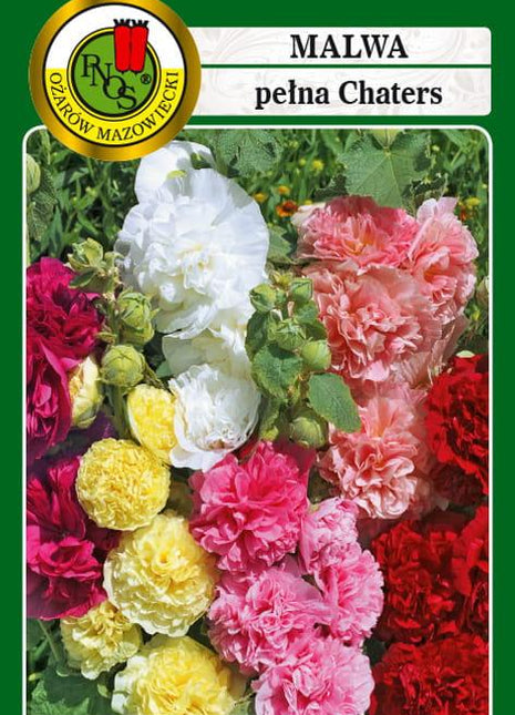 Nasiona - MALWA CHATERS MIESZANKA 1g - Niezłe Ziółko