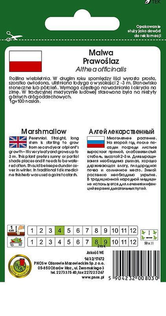 Nasiona - MALWA-PRAWOŚLAZ 0,5g - Niezłe Ziółko