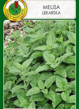 Nasiona - MELISA LEKARSKA 0,3g - Niezłe Ziółko