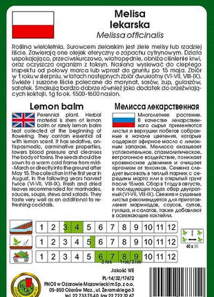 Nasiona - MELISA LEKARSKA 0,3g - Niezłe Ziółko