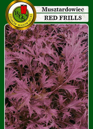 Nasiona - MUSZTARDOWIEC RED FRILLS 0,5g - Niezłe Ziółko