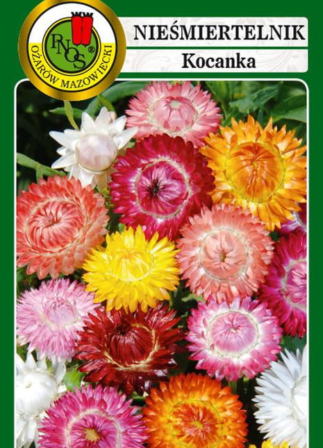 Nasiona - NIEŚMIERTELNIK MIESZANY 1,5g - Niezłe Ziółko