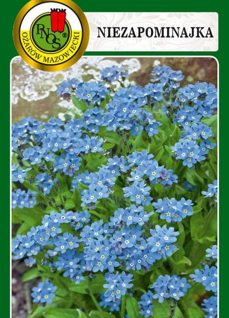 Nasiona - NIEZAPOMINAJKA NIEBIESKA 0,3g - Niezłe Ziółko
