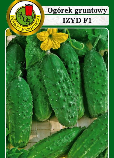 Nasiona - OGÓREK GRUNTOWY IZYD F1 5g - Niezłe Ziółko