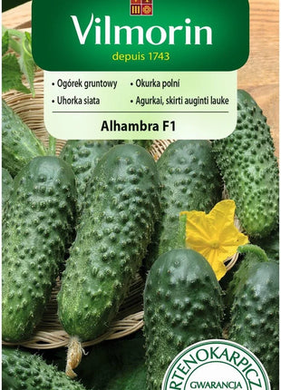 Nasiona - Ogórek Partenokarpiczny Alhambra F1 3g - Niezłe Ziółko