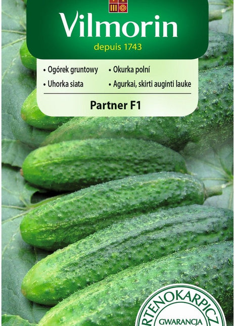 Nasiona - OGÓREK PARTENOKARPICZNY PARTNER F1 3G - Niezłe Ziółko
