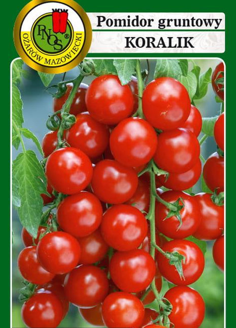 Nasiona - POMIDOR KOKTAJLOWY KORALIK 1g - Niezłe Ziółko