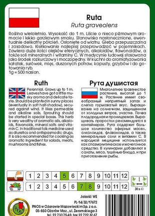 Nasiona - RUTA 0,2g - Niezłe Ziółko