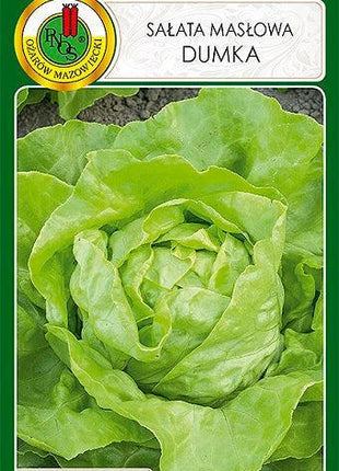 Nasiona – Sałata Głowiasta Masłowa Dumka 1g (około 1000 sztuk nasion w opakowaniu) - Niezłe Ziółko