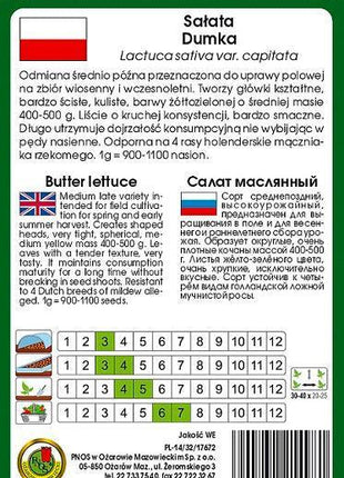 Nasiona – Sałata Głowiasta Masłowa Dumka 1g (około 1000 sztuk nasion w opakowaniu) - Niezłe Ziółko