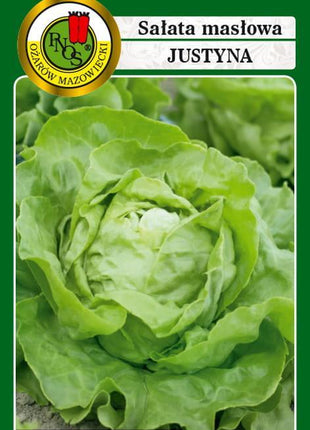 Nasiona – Sałata Głowiasta Masłowa Justyna 1g (około 1200 sztuk nasion w opakowaniu) - Niezłe Ziółko