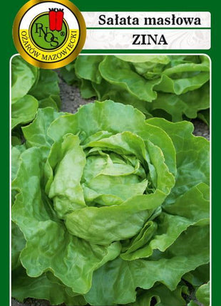 Nasiona – Sałata Masłowa Zina 1g (około 1200 sztuk nasion w opakowaniu) - Niezłe Ziółko