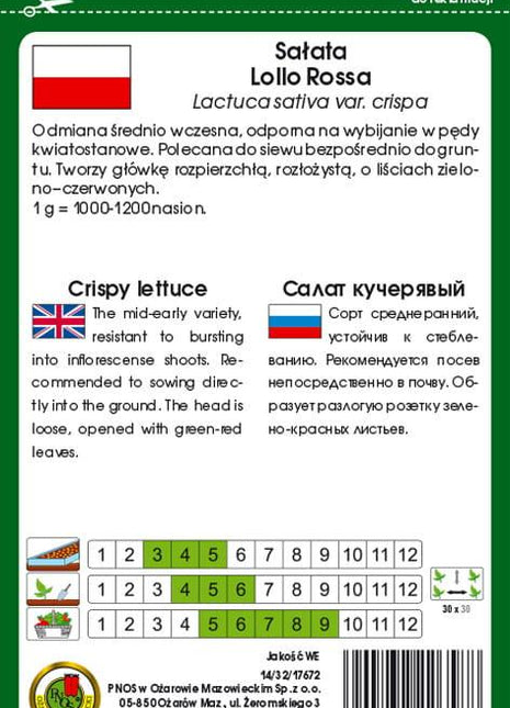 Nasiona - SAŁATA LIŚCIOWA LOLLO ROSSA 1g - koło 1000 sztuk nasion w opakowaniu - Niezłe Ziółko