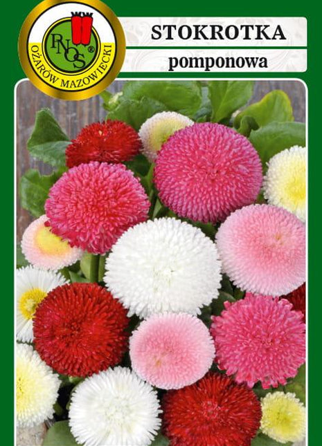 Nasiona - STOKROTKA POMPONETTE MIESZANA 0,2g - Niezłe Ziółko