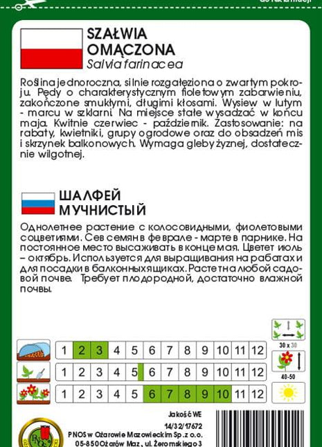 Nasiona - SZAŁWIA OMĄCZONA FIOLETOWA 0,2g - Niezłe Ziółko