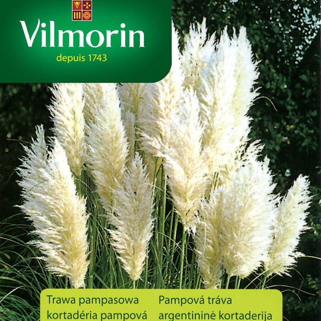 Nasiona - Trawa dekoracyjna pampasowa biała Vilmorin 1 m² 0,1 kg - Niezłe Ziółko