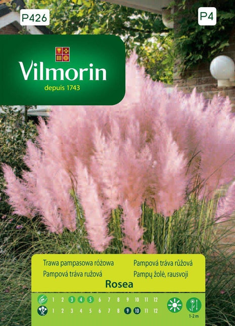 Nasiona - Trawa dekoracyjna pampasowa różowa Vilmorin 1 m² 0,1 kg - Niezłe Ziółko