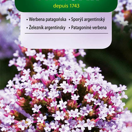 Nasiona - WERBENA PATAGOŃSKA NIEBIESKA 0,3G - Niezłe Ziółko