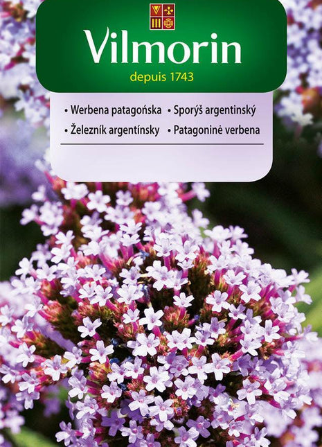 Nasiona - Werbena Patagońska Niebieska 0,3g - Niezłe Ziółko