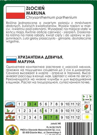 Nasiona - ZŁOCIEŃ MARUNA SNOWBALL BIAŁY 0,3g - Niezłe Ziółko