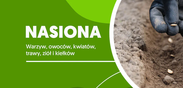 Nasiona