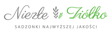 Niezłe Ziółko - 🍅 Rozsady Najwyższej Jakości🍅