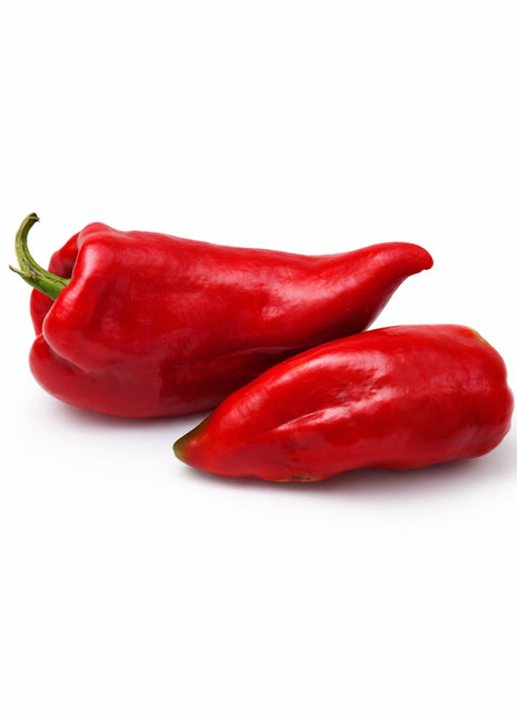 Papryka Stożkowa Czerwona Słodka - Sadzonka