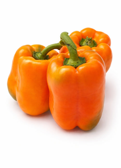 Papryka Pomarańczowa Kubista Słodka - Sadzonka