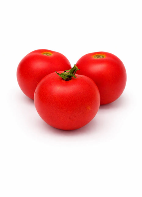 Pomidor Tolek - Sadzonka