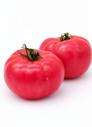 Pomidor Malinowy Ożarowski - Sadzonka - Niezłe Ziółko