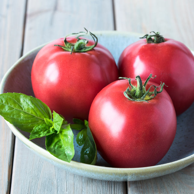 Sadzonka Pomidora - Pomidor Malinowy - Pink King F1 VP1