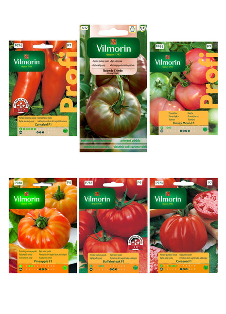 Duży zestaw do Wysiewu Pomidory Premium 6 szt. + akcesoria