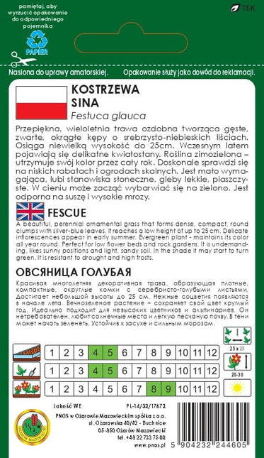 Nasiona - Trawa ozdobna Kostrzewa sina 0,3g