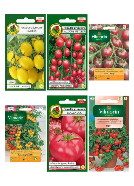 Zestaw do Wysiewu Pomidory Balkonowe 6 szt. + akcesoria - Niezłe Ziółko