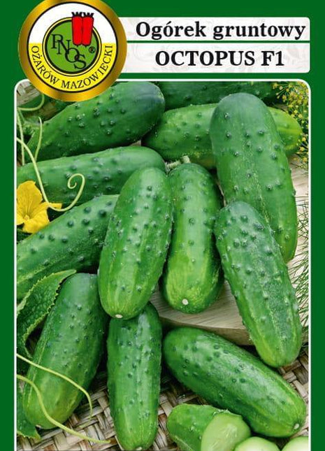 Nasiona - OGÓREK GRUNTOWY OCTOPUS  F1 1,5g - Niezłe Ziółko