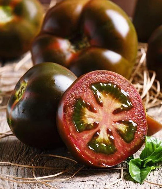 Czarny Książę - Sadzonka Pomidora - Niezłe Ziółko